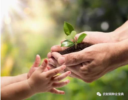 淘宝众筹app下载_淘宝农业众筹_淘宝众筹是什么模式