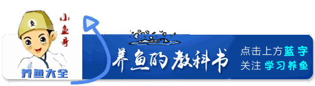 病治白点安全方法是什么_治白点病的安全方法_病治白点安全方法有哪些