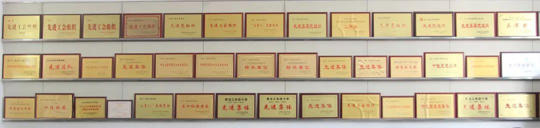 黑龙江科技大学招生信息网_黑龙江科技招生简章_黑龙江科技招生电话