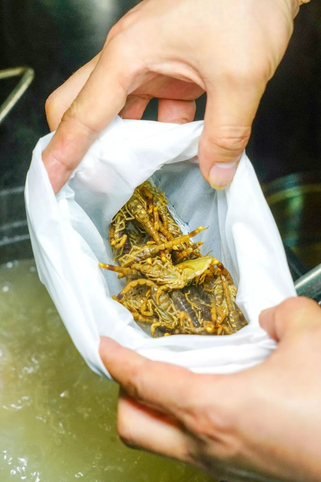顺德菜系介绍_顺德菜精选（广东菜系）_顺德的菜