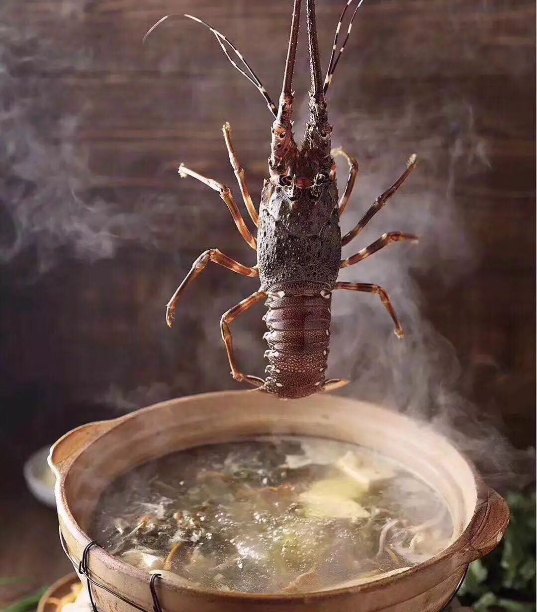 顺德菜系介绍_顺德的菜_顺德菜精选（广东菜系）