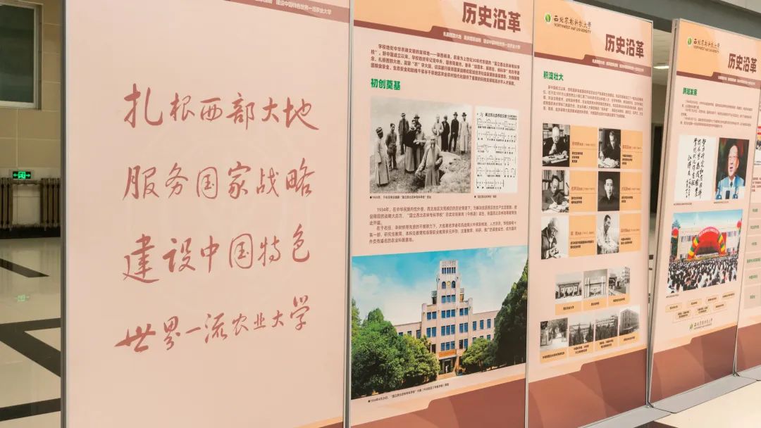 西北农林科技大学图书馆_西北农林科技大学图书馆_西北农林科技大学图书馆