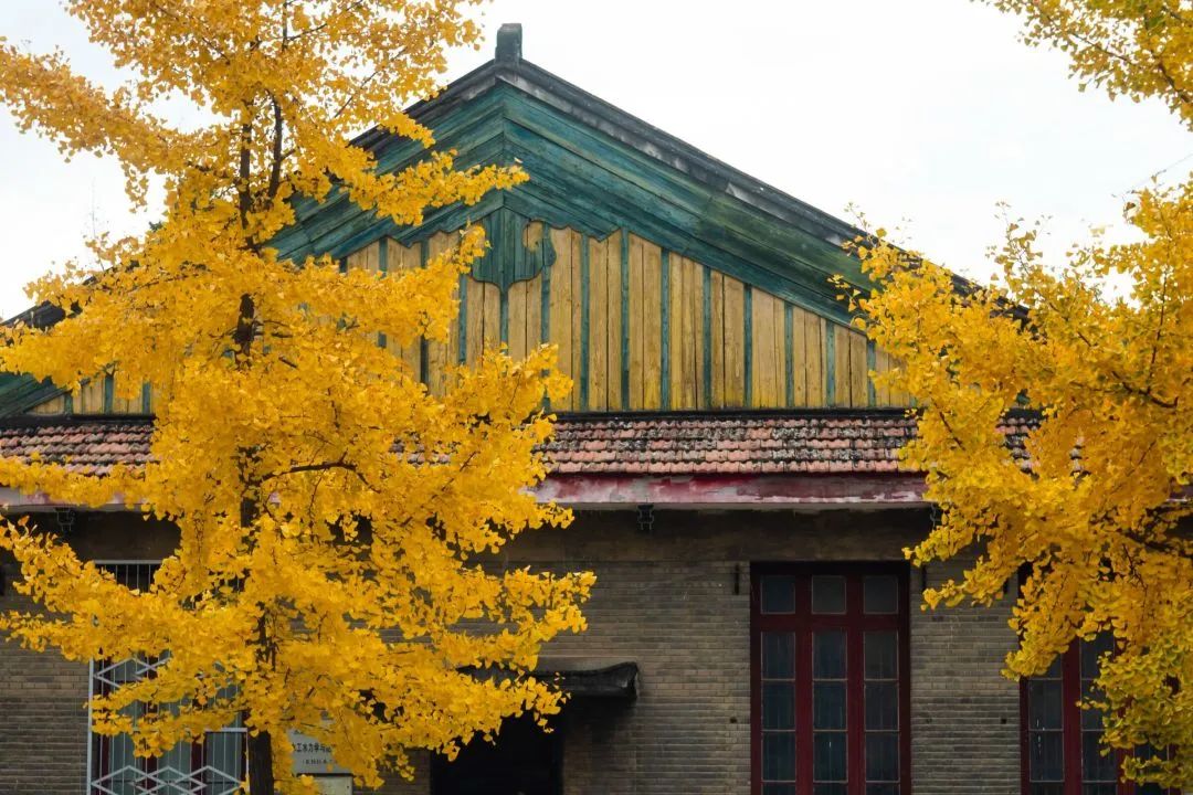 西北农林科技大学图书馆_西北农林科技大学图书馆_西北农林科技大学图书馆