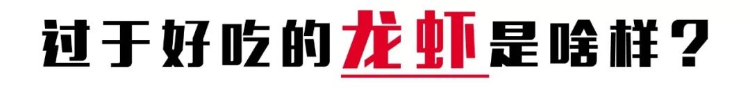 吃货来了_吃货快来_吃货来外铁蛋合集