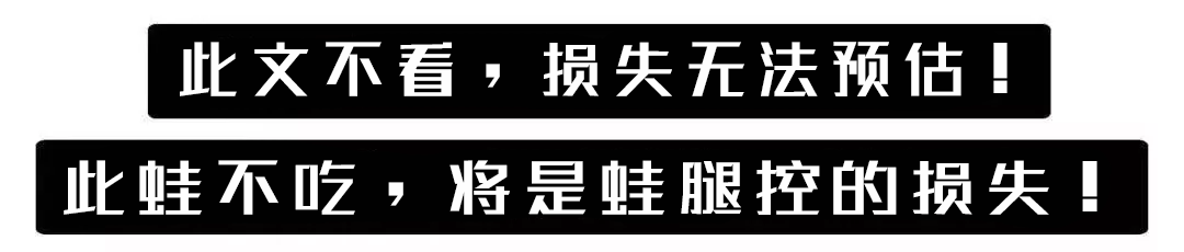 吃货来外铁蛋合集_吃货来了_吃货快来
