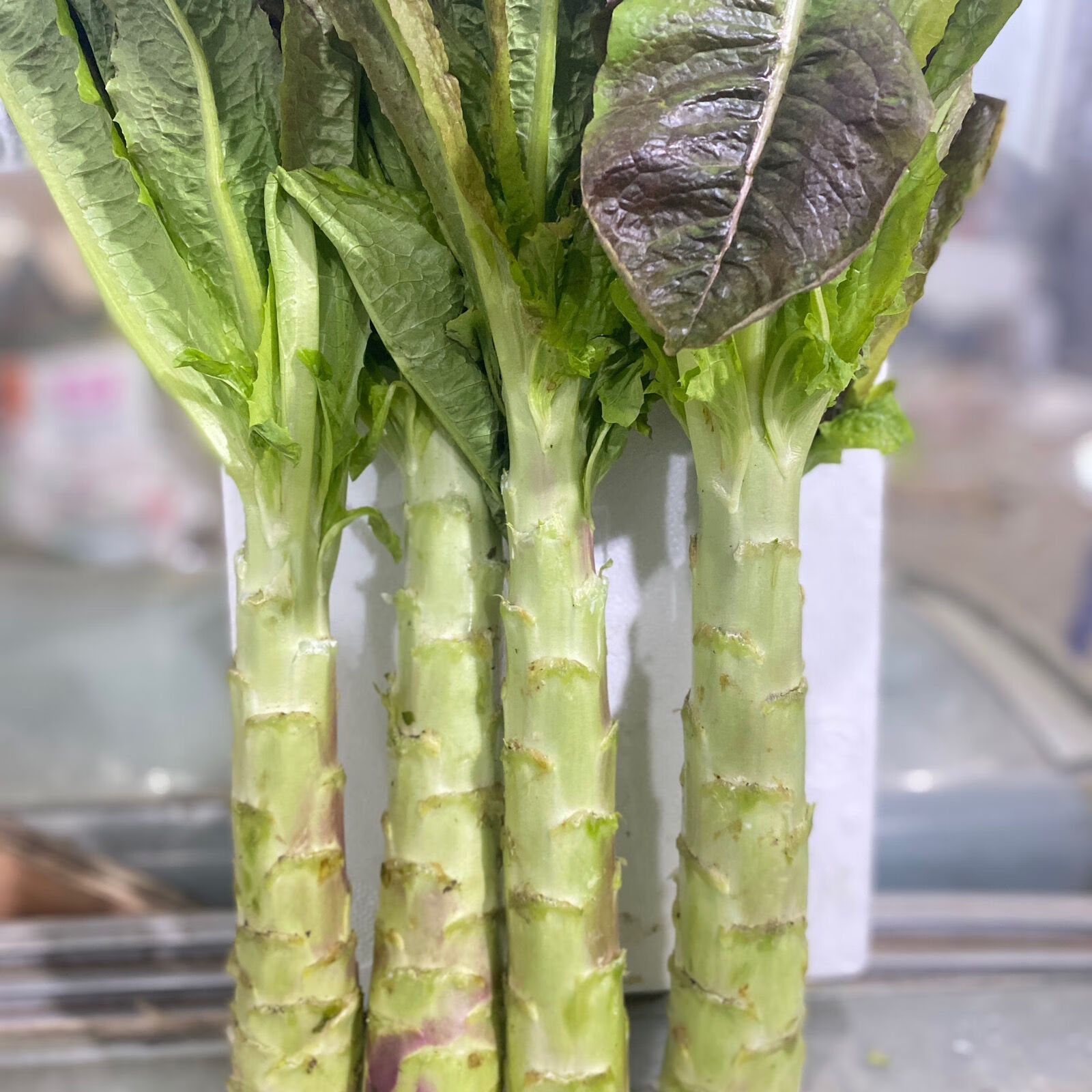 莴苣炒肉片的做法窍门_肉炒莴笋的做法下厨房_肉炒莴笋片的家常做法窍门
