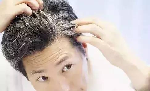 用桑叶熬水洗头方法_用桑叶熬水洗头方法_用桑叶熬水洗头方法