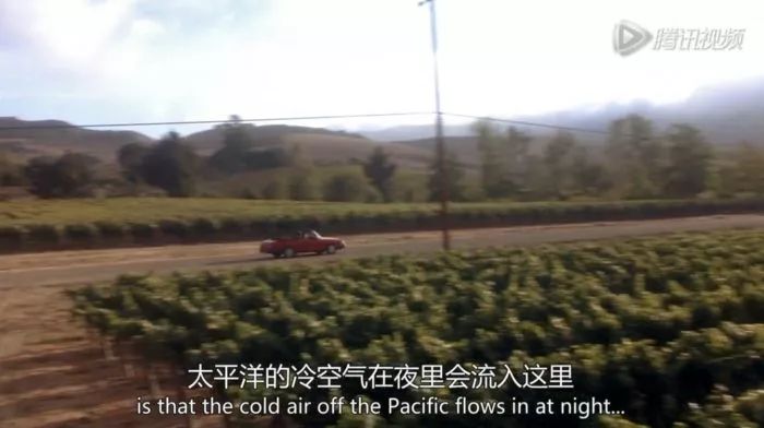 法国葡萄酒的种类_关于法国葡萄酒的一些常识_关于法国葡萄酒的介绍