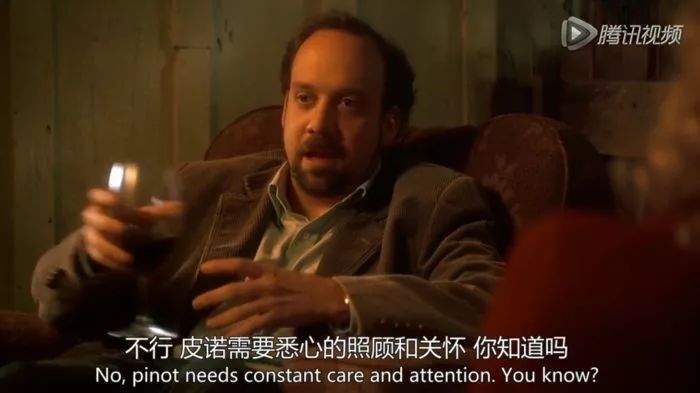法国葡萄酒的种类_关于法国葡萄酒的一些常识_关于法国葡萄酒的介绍