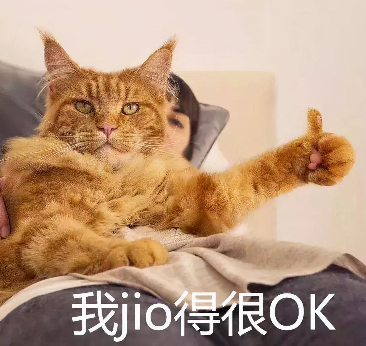 什么零食好吃又不胖_吃零食的胖子_易胖零食排行