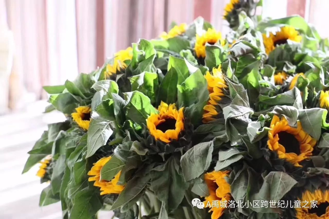 郑州世纪学院教育咨询有限公司_跨世纪教育集团郑州_郑州世纪学校