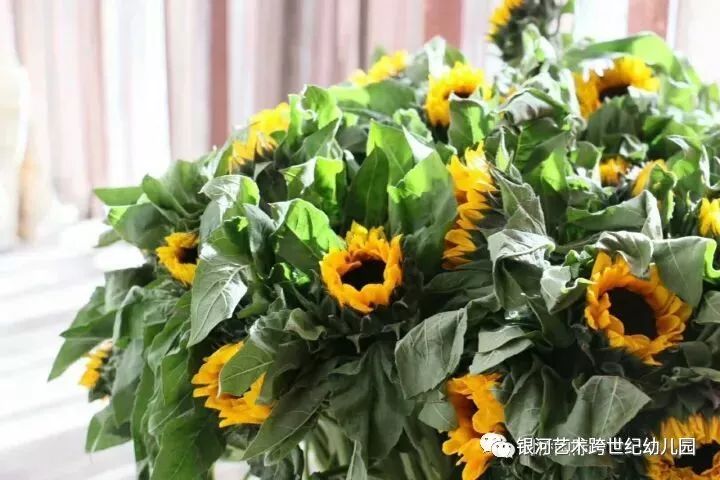 郑州世纪学院教育咨询有限公司_跨世纪教育集团郑州_河南世纪教育集团