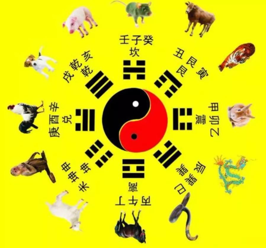 鲁菜代表菜食在八方_鲁菜的代表_鲁菜的含义