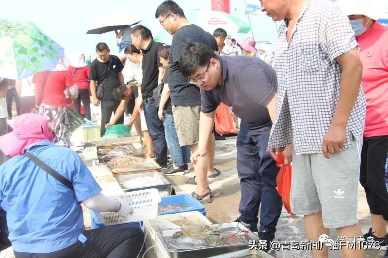 买海鲜的码头_南姜码头休渔期能买到海鲜吗_从码头买回来的海鲜怎么保存