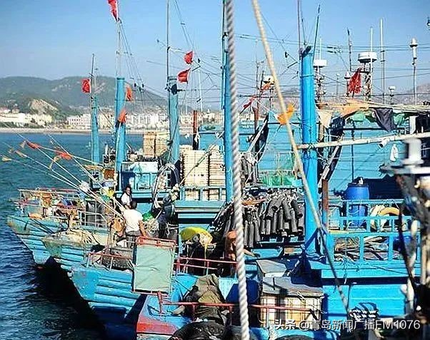 从码头买回来的海鲜怎么保存_买海鲜的码头_南姜码头休渔期能买到海鲜吗
