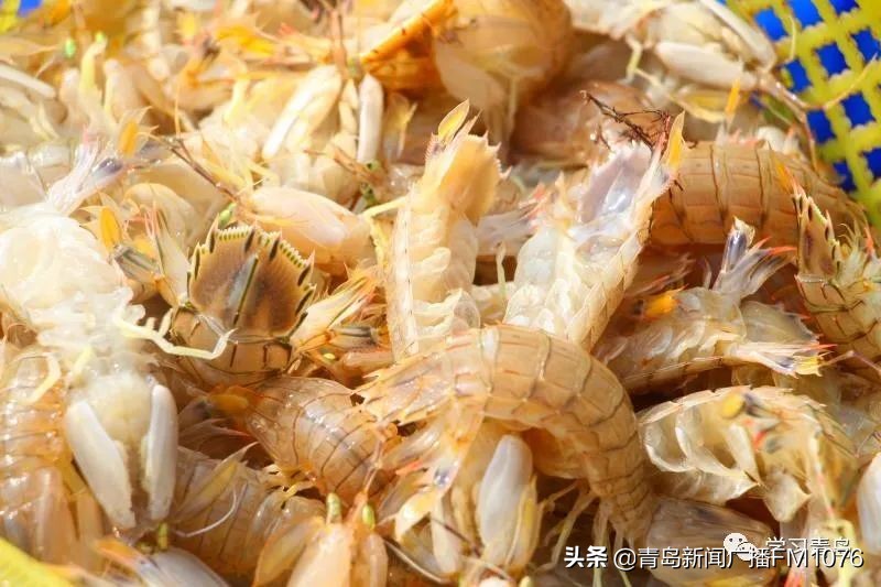 买海鲜的码头_南姜码头休渔期能买到海鲜吗_从码头买回来的海鲜怎么保存