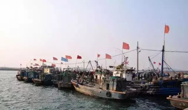 连云港海鲜批发便宜吗_连云港市海鲜干货批发市场_连云港海鲜干货批发