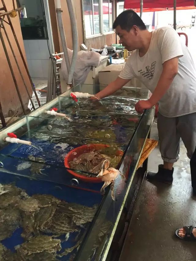 连云港市海鲜干货批发市场_连云港海鲜干货批发_连云港海鲜批发便宜吗
