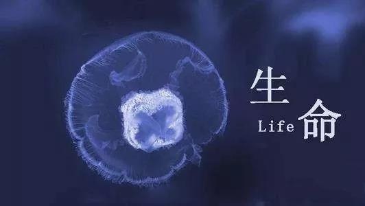 南京建康技工学校