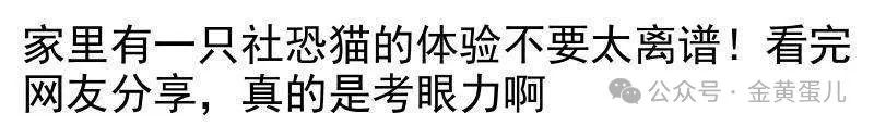 哪里有修水平仪器_手机水平仪 维修_手机水平仪坏了怎么办