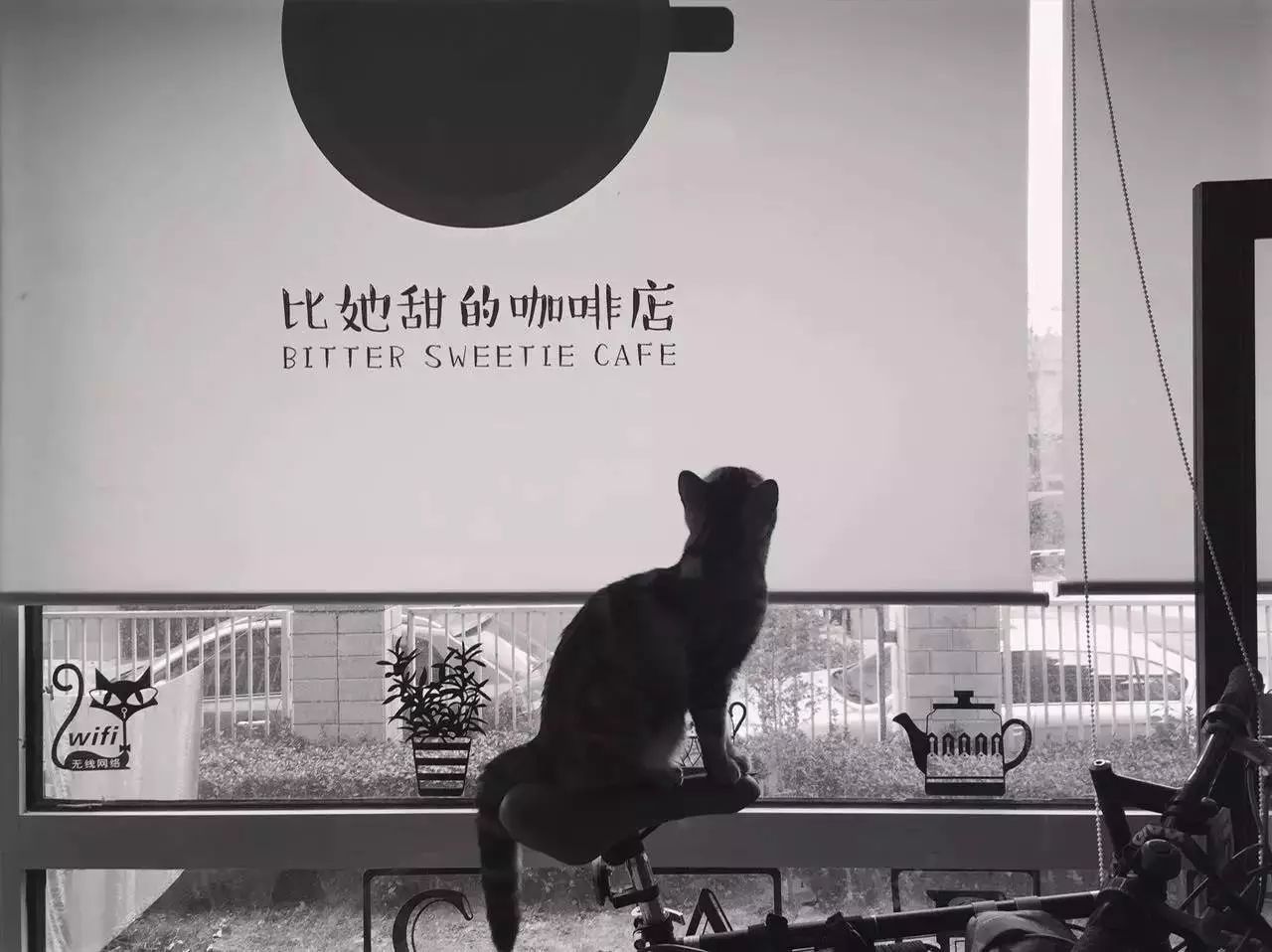适合女生开店的项目_女生店适合开个人小店吗_适合女生一个人开的店