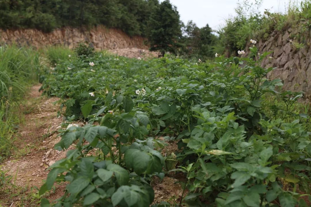 农业稳定风险评估合同_稳定农业_农业稳定性