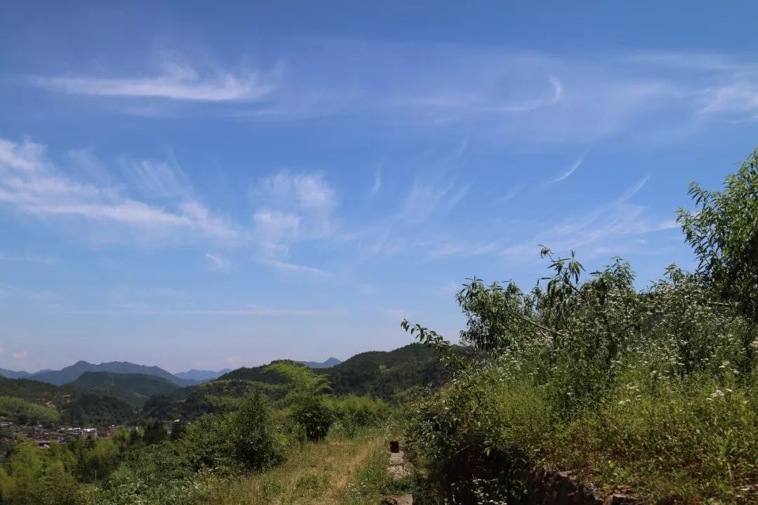 农业稳定风险评估合同_稳定农业_农业稳定性