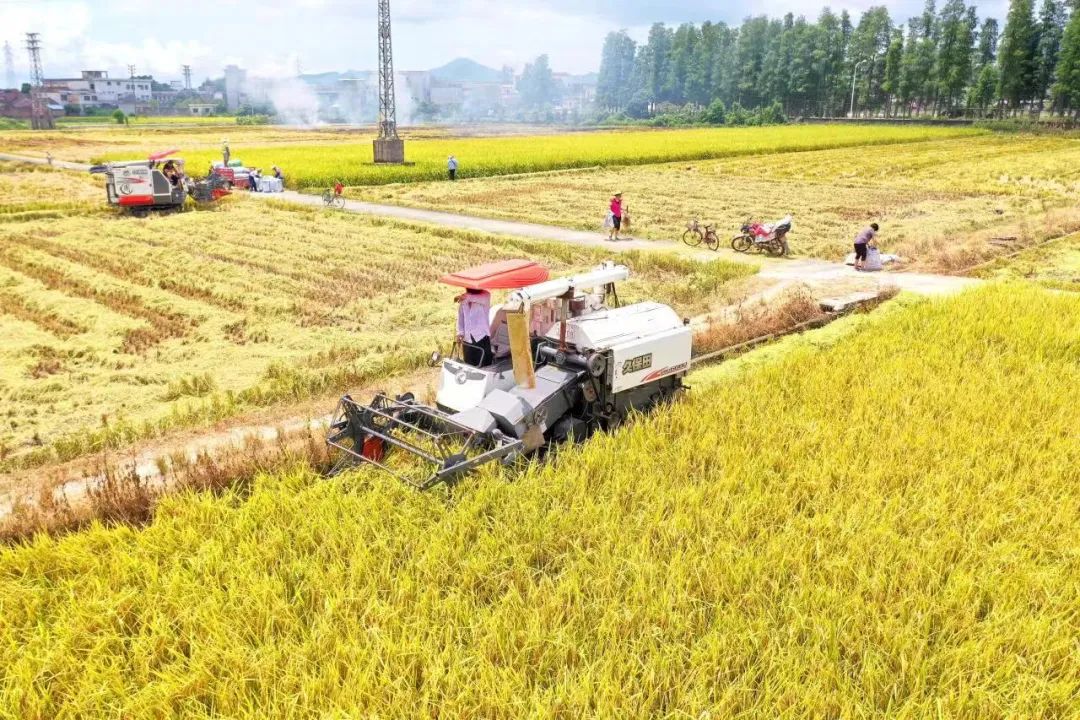 农业稳定基金有哪些_稳定农业_农业稳定性