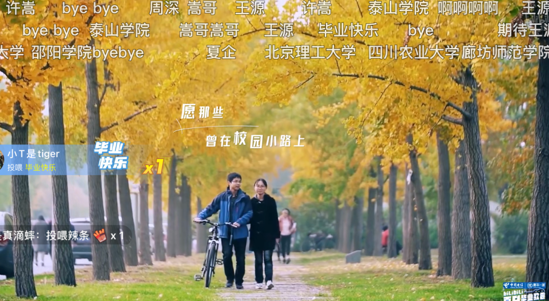 台湾旅行法 巨大挫折_台湾旅行法 巨大挫折_台湾旅行法 巨大挫折