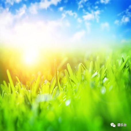 意念定律_意念力法则_意念法术教学