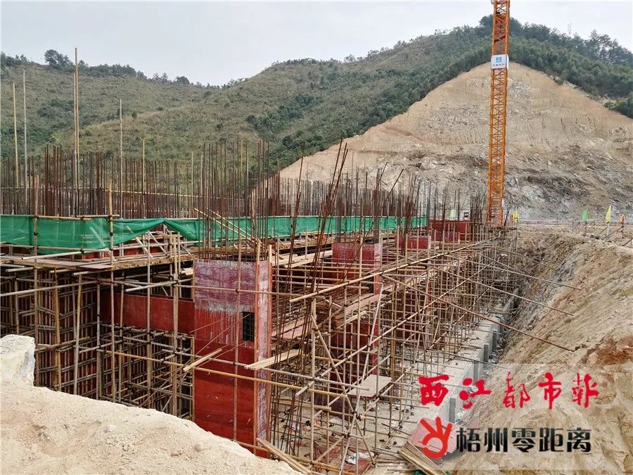 生活垃圾焚烧炉视频_生活垃圾焚烧炉设计_焚烧垃圾炉危害