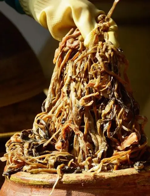 怎么炒咸菜_家常炒咸菜的做法大全窍门_如何炒咸菜窍门