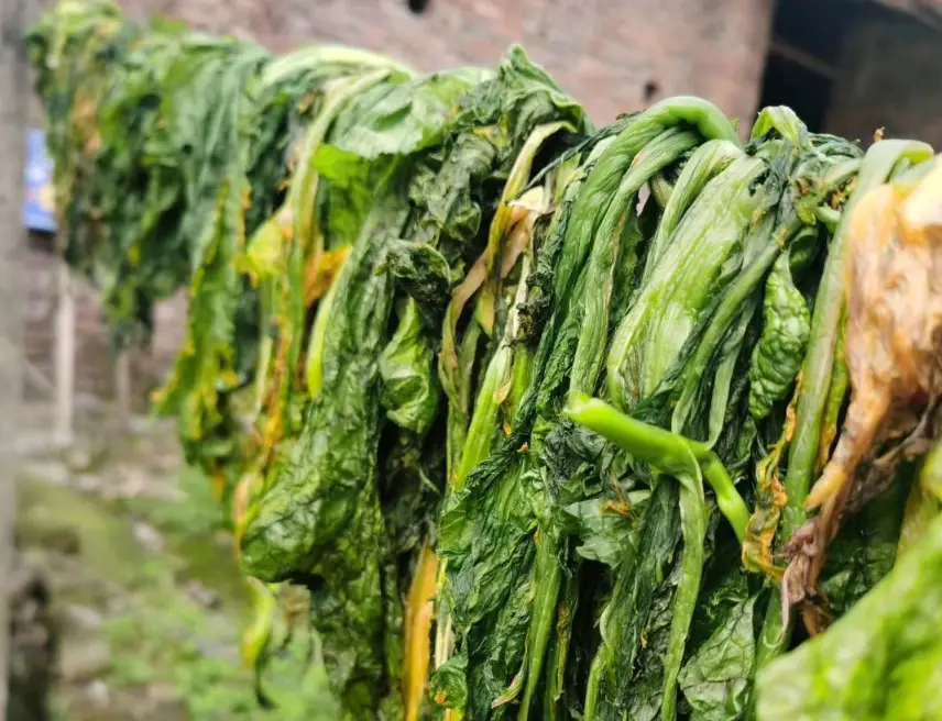 怎么炒咸菜_家常炒咸菜的做法大全窍门_如何炒咸菜窍门