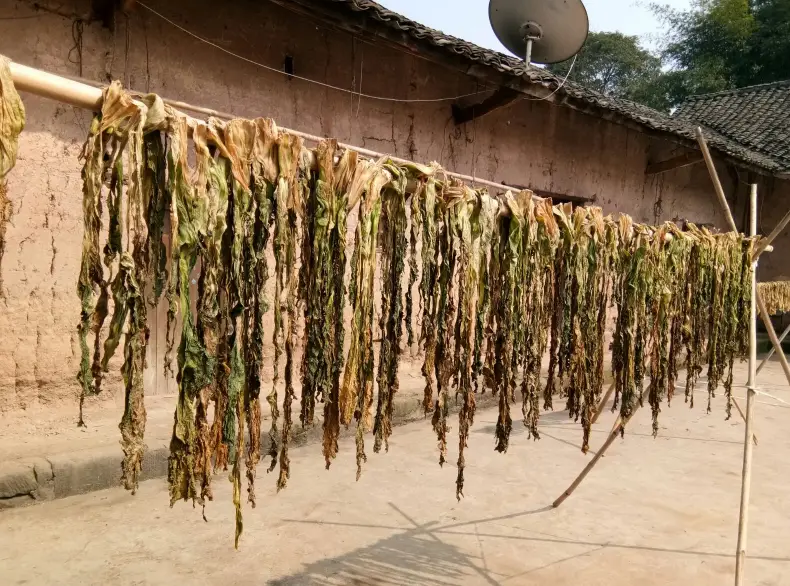 怎么炒咸菜_如何炒咸菜窍门_家常炒咸菜的做法大全窍门