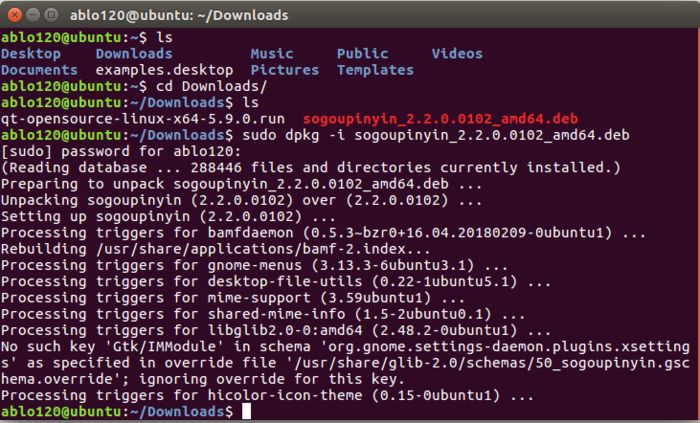 Ubuntu_搜狗输入法安装(图6)