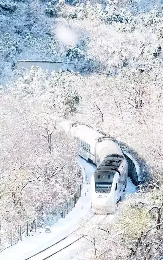 从莫斯科到柏林_莫斯科到柏林的火车_柏林到莫斯科火车多长时间
