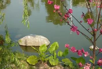华侨大学厦门校区报修网_厦门华侨大学百度百科_厦门华侨大学电话号码是多少