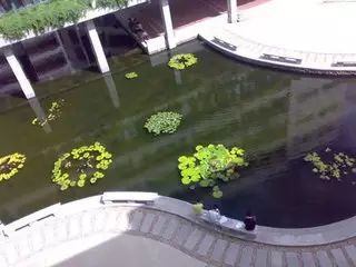 厦门华侨大学百度百科_厦门华侨大学电话号码是多少_华侨大学厦门校区报修网