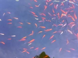 厦门华侨大学百度百科_厦门华侨大学电话号码是多少_华侨大学厦门校区报修网