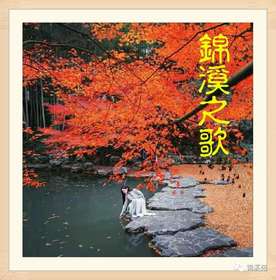 火车电力机车车头视频_电力机车火车模型视频_火车电力机车