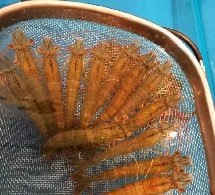徐记海鲜西安店北郊_西安北郊徐记海鲜地址_西安北二环徐记海鲜