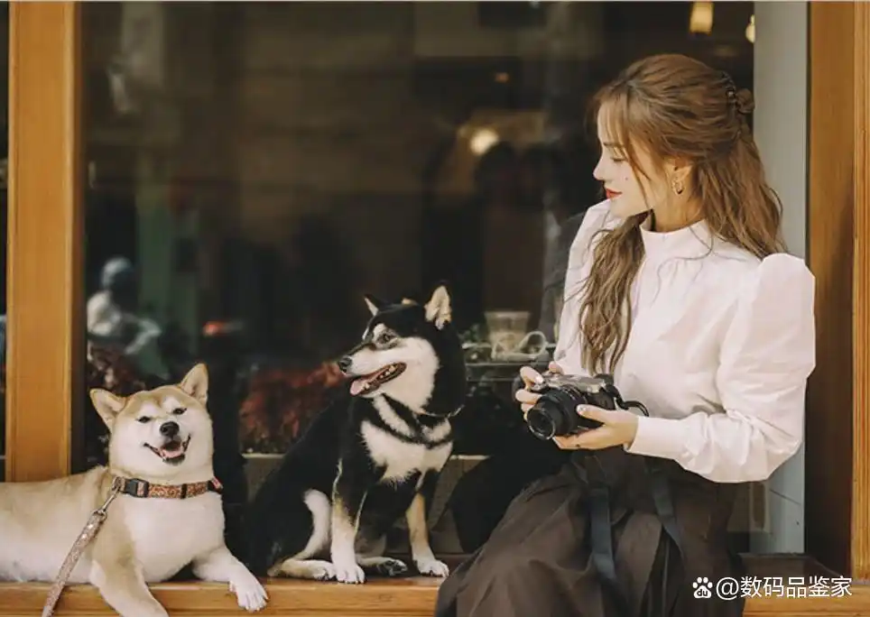 索尼数码相机型号_数码索尼型号相机怎么选_数码索尼型号相机推荐
