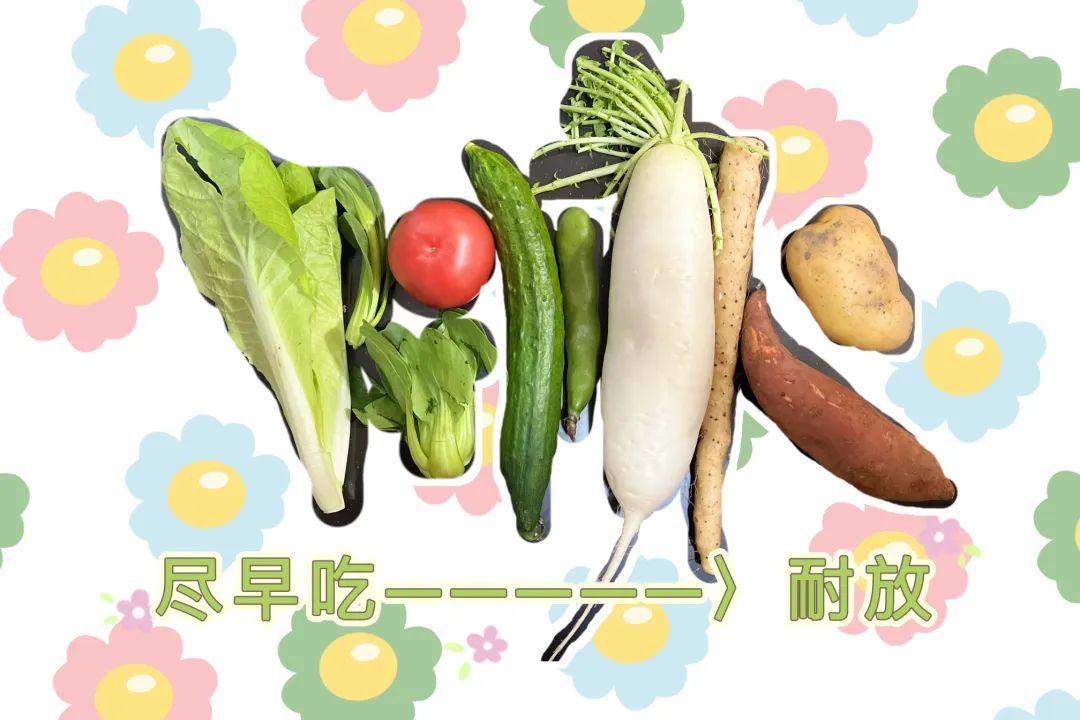 保鲜膜保鲜蔬菜_保鲜膜 菜_保鲜膜装菜
