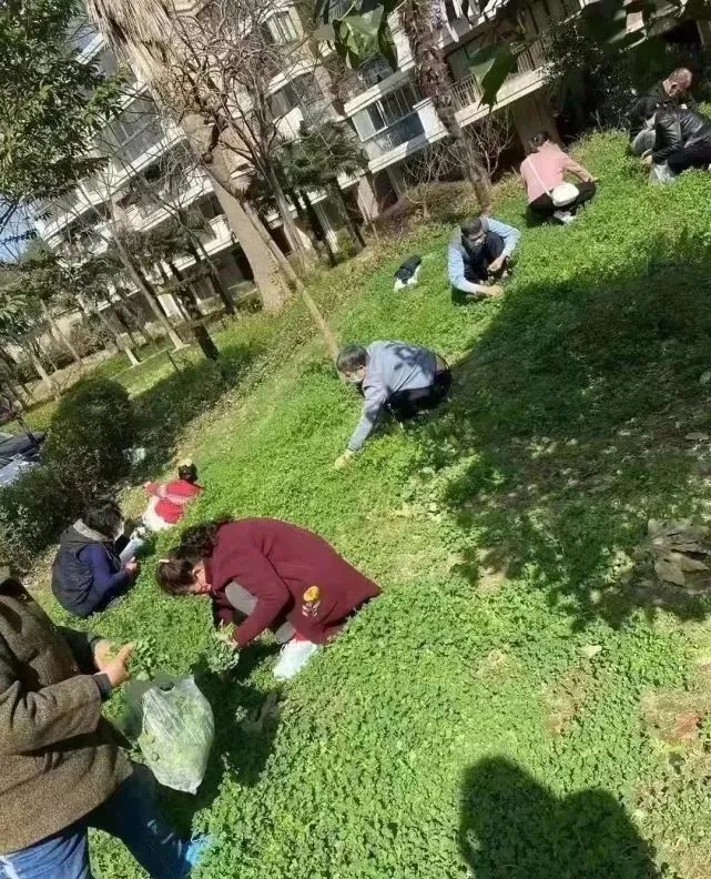 保鲜膜装菜_保鲜膜 菜_保鲜膜保鲜蔬菜