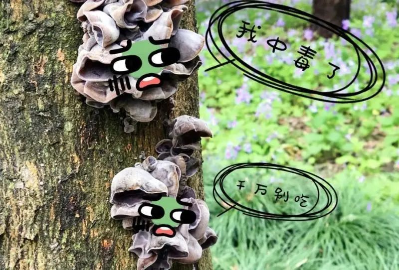 保鲜膜 菜_保鲜膜保鲜蔬菜_保鲜膜装菜