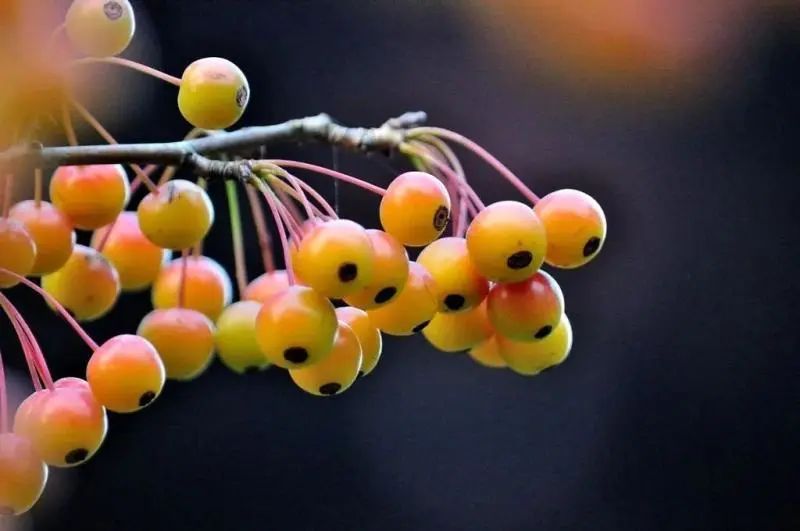 保鲜膜保鲜蔬菜_保鲜膜 菜_保鲜膜装菜