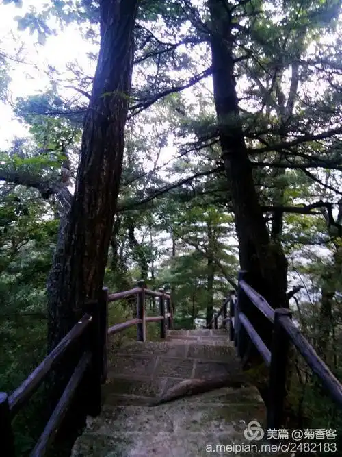 南召宝天曼景区冬季_南召宝天曼旅游攻略_南召宝天曼门票多少钱