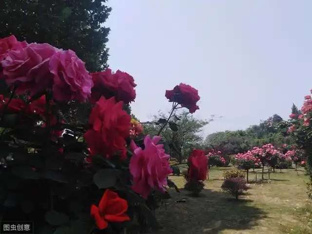 南召宝天曼景区冬季_南召宝天曼旅游攻略_南召宝天曼门票多少钱