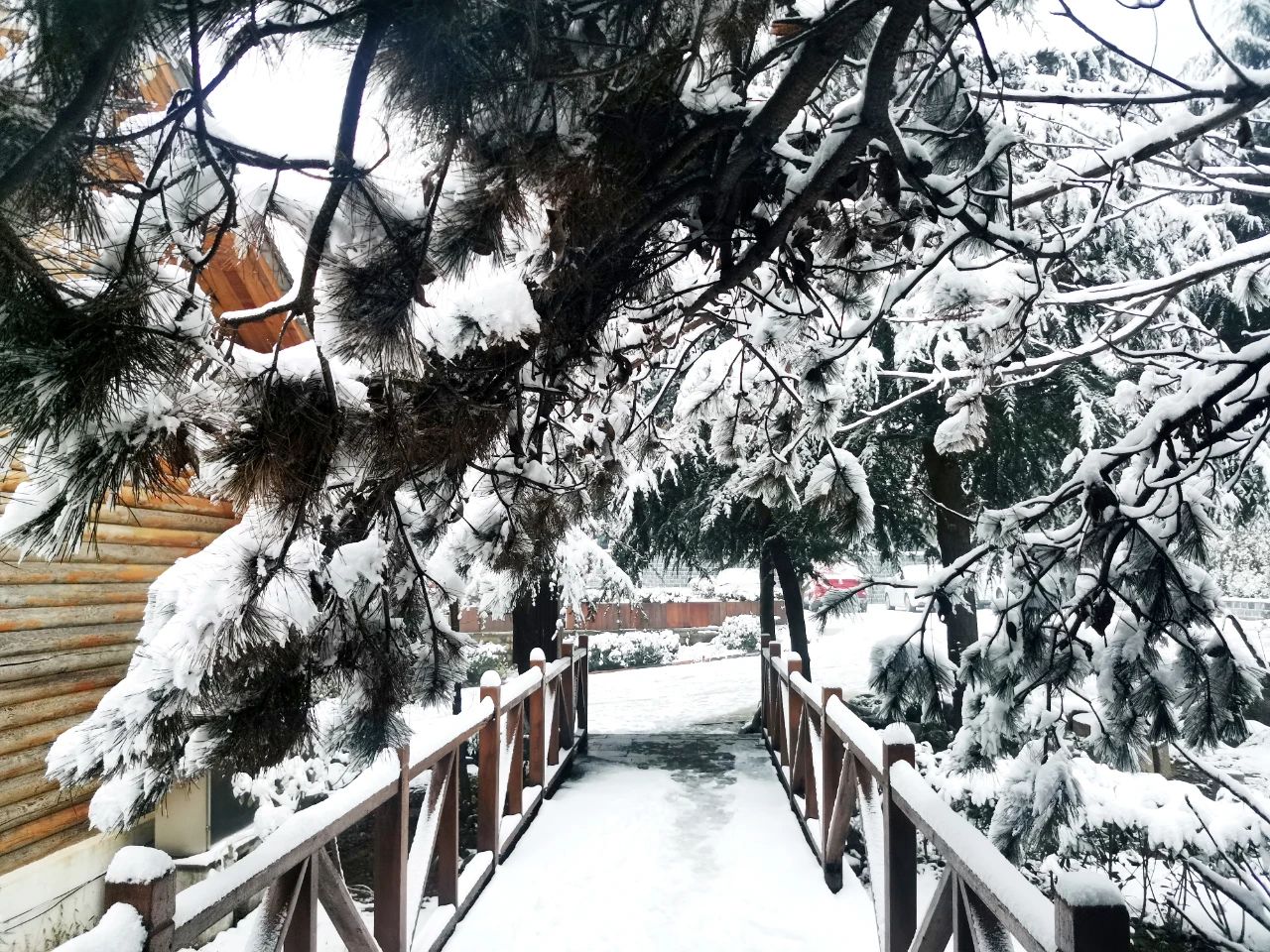 微信图片_20201224083714.jpg