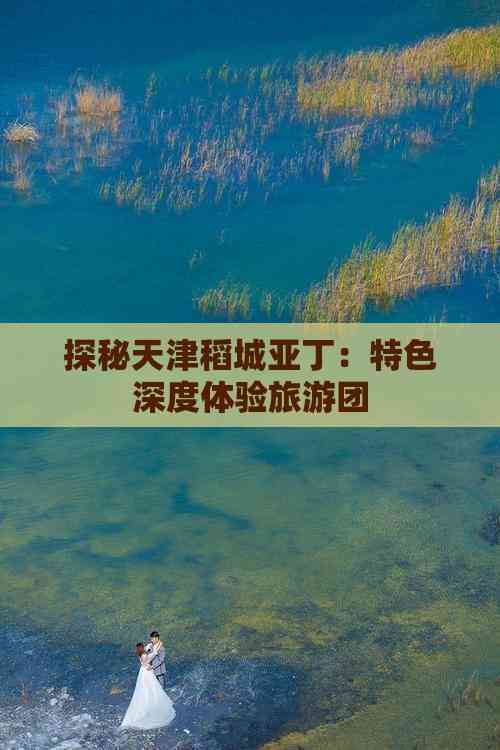 探秘天津稻城亚丁：特色深度体验旅游团